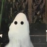 OVOverseer's profile picture