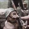 Gustav Wolfe profil fotoğrafı