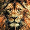 Profilbild von M_O