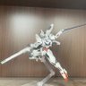 怪獣と人間のハーフ's profile picture