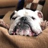 jed profil fotoğrafı