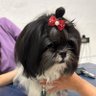 Claudia's profile picture