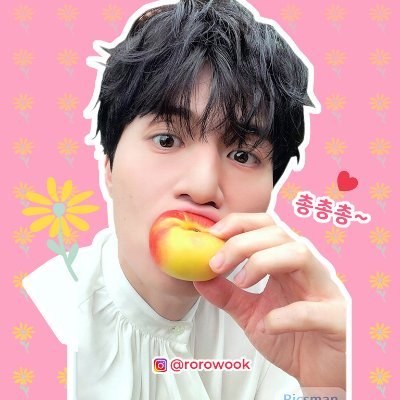 rorowook's profile picture