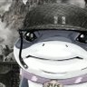 Diego M's profile picture
