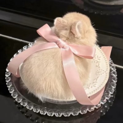 Cottontail_R's profile picture