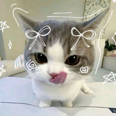 巧𝘊𝘖=^. .^='s profile picture