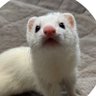 Profilbild von sa-moco