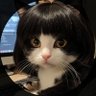 Profilbild von Mrs. Lisa Choi
