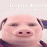 Bob J.T.Marts profil fotoğrafı
