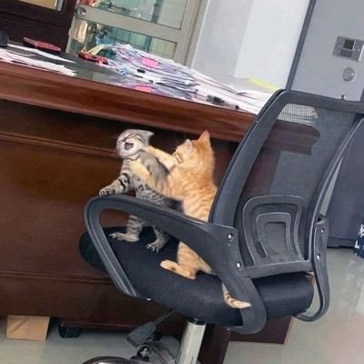 qlrvkdlqlrvkdl's profile picture