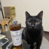 にゃっからん profil fotoğrafı