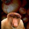 Kaligator's profile picture