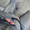 puppybiker's profile picture