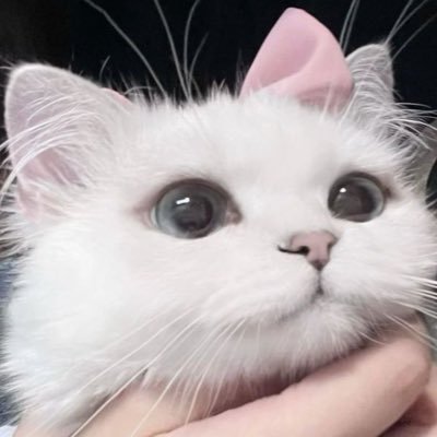 웅냥이^. .^ ੭♡'s profile picture