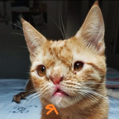 Bal sendromlu Bal 😬🩷's profile picture