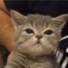 Profilbild von Macey