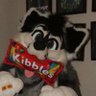 Profilbild von bsky: @sparxwuff.com