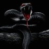 mamba 的头像