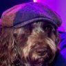 Profilbild von Reinard Schmulian