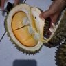 Фото профиля durian manis 24