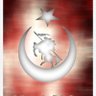 Фото профиля Aynur Çetinkaya