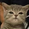 Profilbild von bbb