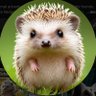 Hedgehog's Quest 的头像