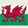 DOGE Wales 🏴💰's profile picture