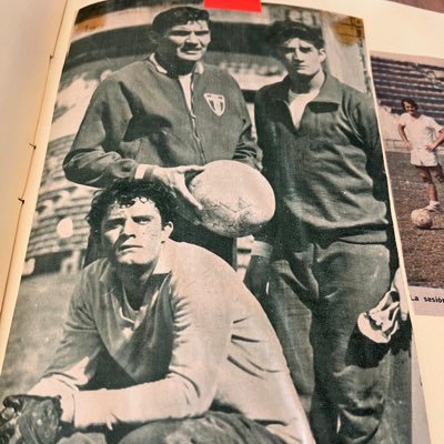 Raúl Orvañanos's profile picture