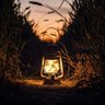 IMOLE🌕🦅🎖🧰 profil fotoğrafı
