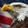 David's profile picture