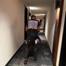 DJ⛹🏽‍♂️ 的头像