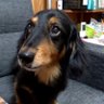 Michi 的头像