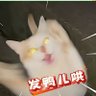 Profilbild von 默默