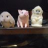 ミキ 的头像