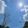 Sunshine's profile picture