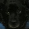 Profilbild von UnfunnyUsername