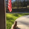 Grumpy D's profile picture