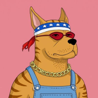 gm365's profile picture