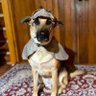 Detective Dug 🇨🇦's profile picture