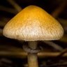 Фото профиля 𝑨𝑴𝑬𝑳𝑰𝑨 𝑴𝑫