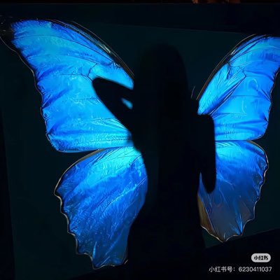 小韩老师's profile picture
