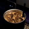 bebalitupercuma__'s profile picture