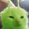 Fort's profile picture