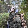 Boseph Greenwood profil fotoğrafı