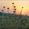 Фото профиля أبو حسان
