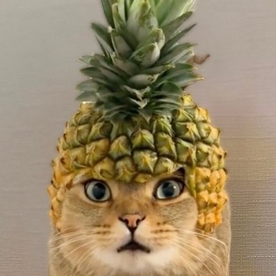 Pineapple Cat's profile picture