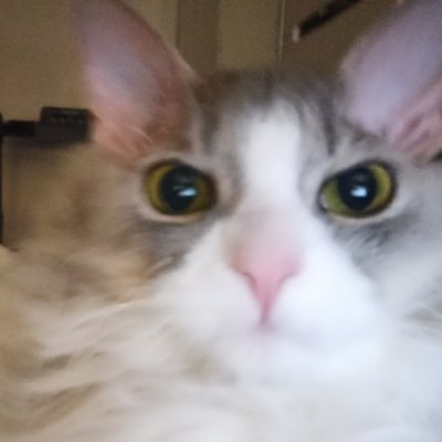 Еgor Poskriakov |⚡ Wishlist Reytrieve on Steam!'s profile picture