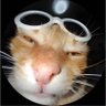 Hugo. ๐'s profile picture