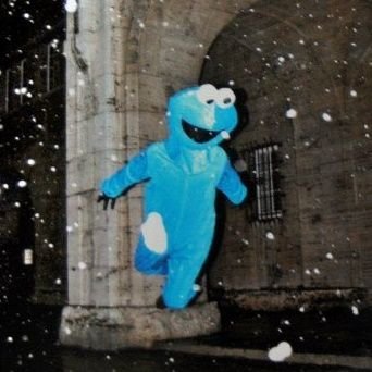 toutoutkn's profile picture